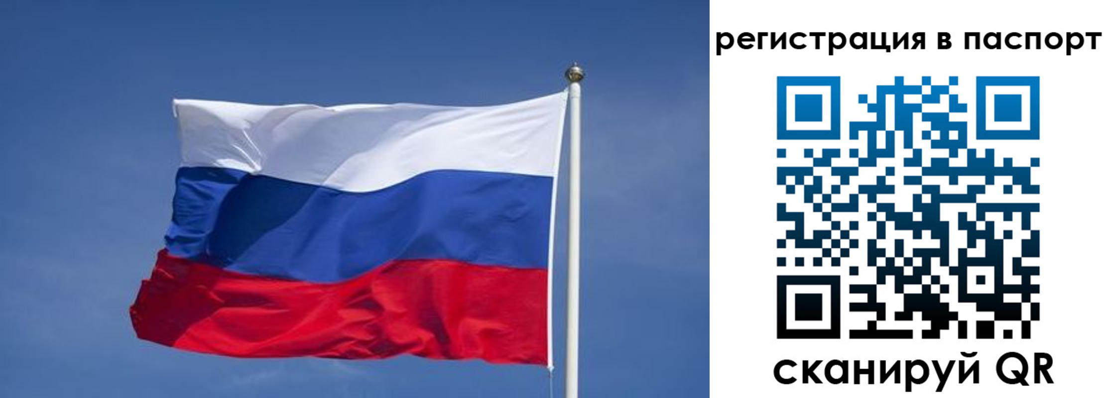 прописка в квартире в Россоши